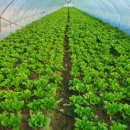 식자재도매유통 이미지