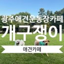 개구쟁이 애견 | [광주] 북구 넓은 천연잔디 애견 운동장 애견카페 추천 <개구쟁이>