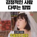 수원-1695 | 케이크 샵 애니벌스케이크 :: 주차 가능, 주문 방법, 찾아가는 길, 수원 부담없는 컵케이크 주문제작