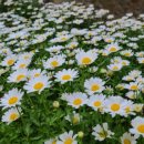 배말공원 이미지