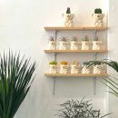 천서농장 | 창원 감성꽃집, 꾸민가든 방문 후기 🌿