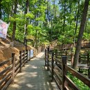 중앙체육공원 농구장
