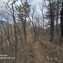 DMZ 평화의 길 31코스 이미지
