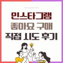 시도 | 인스타그램 좋아요 구매 직접 시도 후기
