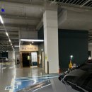 싱싱꼬기 이미지