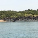 (주)그린크루즈 이미지