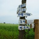 광치농장 이미지