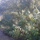 수안보면사무소 이미지