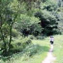 현대연구소로 이미지