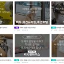 춘천애견미용학원 이미지