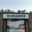 호동2소류지 | 안성맞춤캠핑장 이용 후기 260130~260131