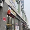 멍블랑 강아지분양 시흥배곧점 이미지