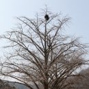 수광루 | 사찰 탐방, 천년고찰 해남 두륜산 대흥사