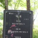 과천계곡 능이백숙집~~ 이미지