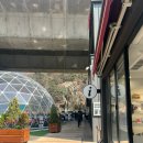 럭키연쇄점 | 카페폭포 홍제천 폭포 서대문구 카페 주차위치 주말방문 캥거루연쇄점