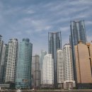 환경체육단지 축구장 이미지