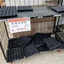 제이엘 마켓탑 이미지