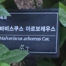 아르보 - 송파구 바람드리2길 1 | 아르보