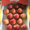 거창-고제-8 이미지