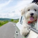 퍼스트병원 이미지