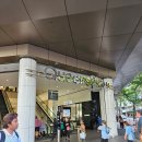 270-4008 | [브리즈번 쇼핑리스트] DFO아울렛 쇼핑, 약국쇼핑(마트 가격비교)/ 어그 구매 필수팁/ 내돈내산 쇼핑후기