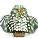 새금산장례식장 이미지