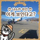 노+리마당 | 나스카 라인, 진짜 맨눈으로도 보일까? 페루 경비행기 투어로 본 고대 미스터리