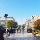 호맥 정관점 이미지