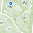 그늘막41 | WTA 코리아 2025 테니스 결승 직관 후기 티케팅 꿀팁
