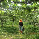 배씨농장 이미지