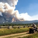 현지목장 이미지