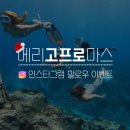 이벤트프로 이미지