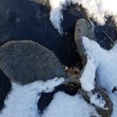 재호농장 이미지