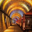 문경 오미자테마터널 이미지