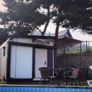 코지네이쳐 이미지