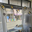 담티약국 이미지