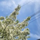 1등타이어 청주점 이미지