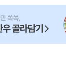 얼리썸머