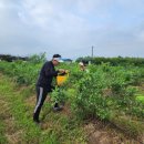 6.15 농장 이미지