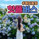 바닷길풍경 - 35848 | 🌊 제주 서쪽 가볼만한곳, 신창풍차해안도로 바닷길 열린 날 다녀온 후기 ⭐⭐⭐⭐⭐