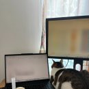 잠실환경노동 | 12월(1) 좋아하는 것들에 대한 이야기