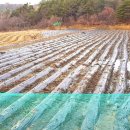 경동로(서) 이미지
