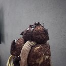 (주)씨유호텔 이미지