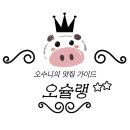 행복한지짐이 | [대전] 대전맛집 별난집 | 대전여행 필수 두부두루치기 맛집 내돈내산 솔직후기 (╹ڡ╹ )