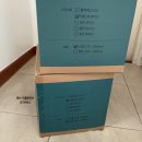 헤레나 | 휠러스 인라인스케이트 가방 보호대 세트 초등학생 선물 추천 내돈내산