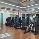 Mango gym 이미지