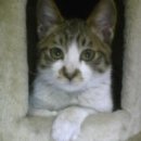 신월동011 이미지