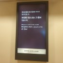 밍 플로어
