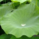 장평농장 이미지