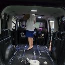 9인승 뒷열 대청소 이미지